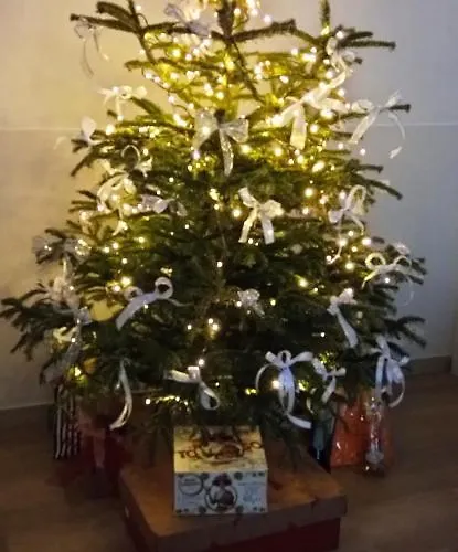 Ad Astra Nocleg ze śniadaniem 4*