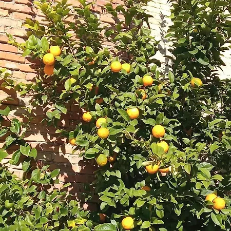 Ad Astra ベッド・アンド・ブレックファスト