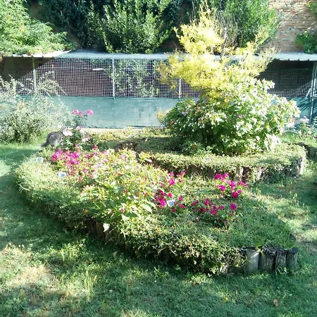 住宿加早餐酒店 Ad Astra