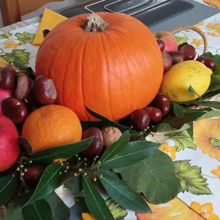 Bed & Breakfast Ad Astra Ravenna