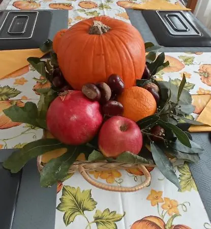 Ad Astra 4* ラヴェンナ