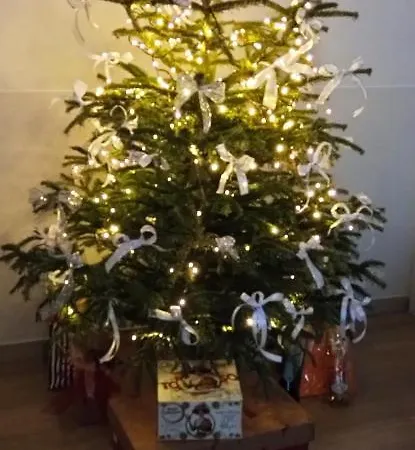 Ad Astra Bed & Breakfast 4*