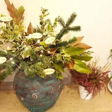 Ad Astra Bed & Breakfast 4*