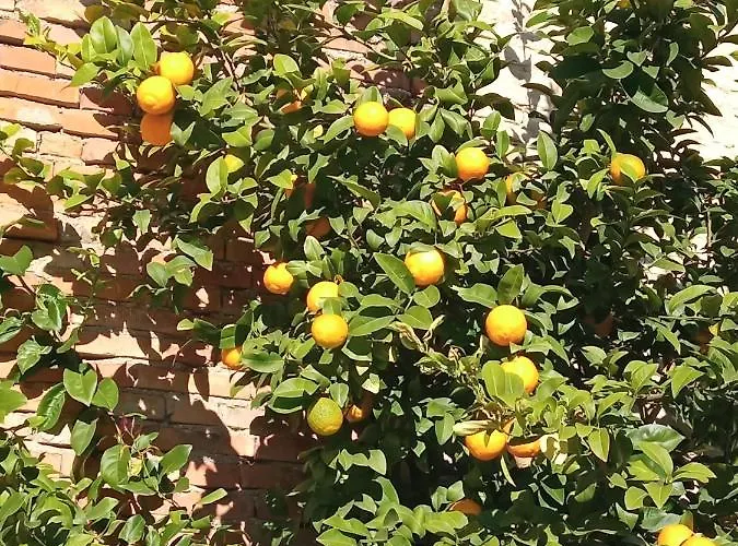 Ad Astra 住宿加早餐酒店