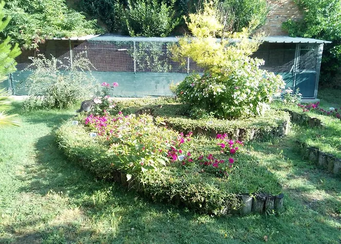 住宿加早餐酒店 Ad Astra