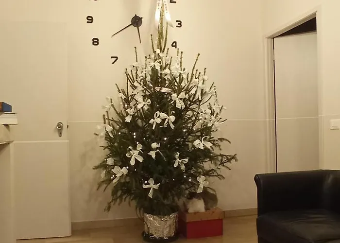 Ad Astra Bed and Breakfast Ραβένα