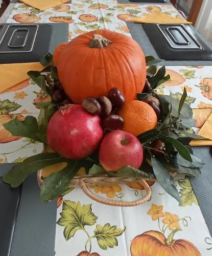 Ad Astra 4* Ραβένα