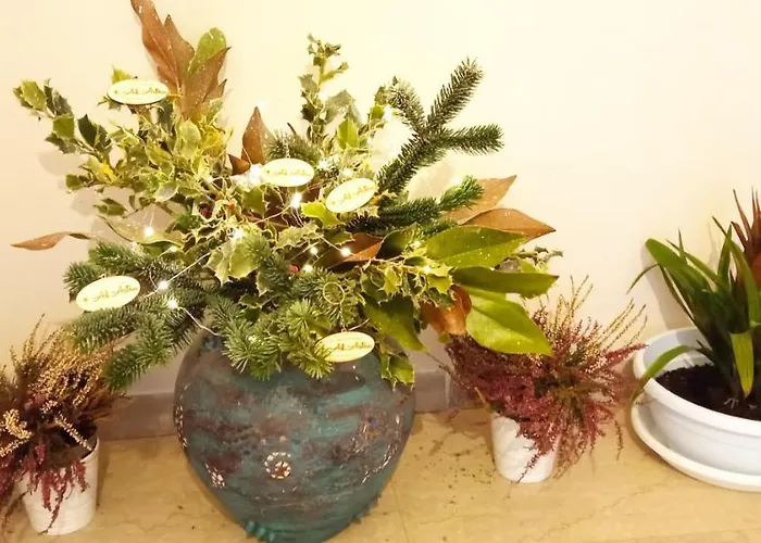 Ad Astra 住宿加早餐酒店 4*